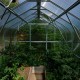 Greenhouse KLASIKA STANDART 5 - 2,5x2m with foundations and polycarbonate coating