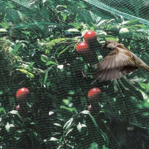 ORTOFLEX Anti-bird net