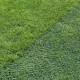 Lawn reinforcement net TR FLEX (2x30m)