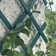 TREPLAS Декоративная раздвижная пластиковая решетка, зеленая 1,00 x 3 м