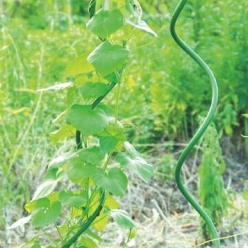 Pole for plants, spiral 120cm/11mm