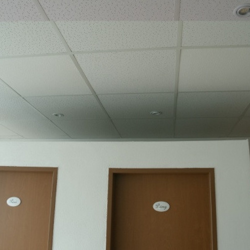 Infrared heater (ceiling heating panel) for suspended ceiling ECORA Cassette
