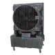 Evaporative air cooler ECO FRESH AIR FRE23000