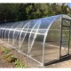 Polycarbonate greenhouse DACNAJA-TRYOSHKA 3x4m