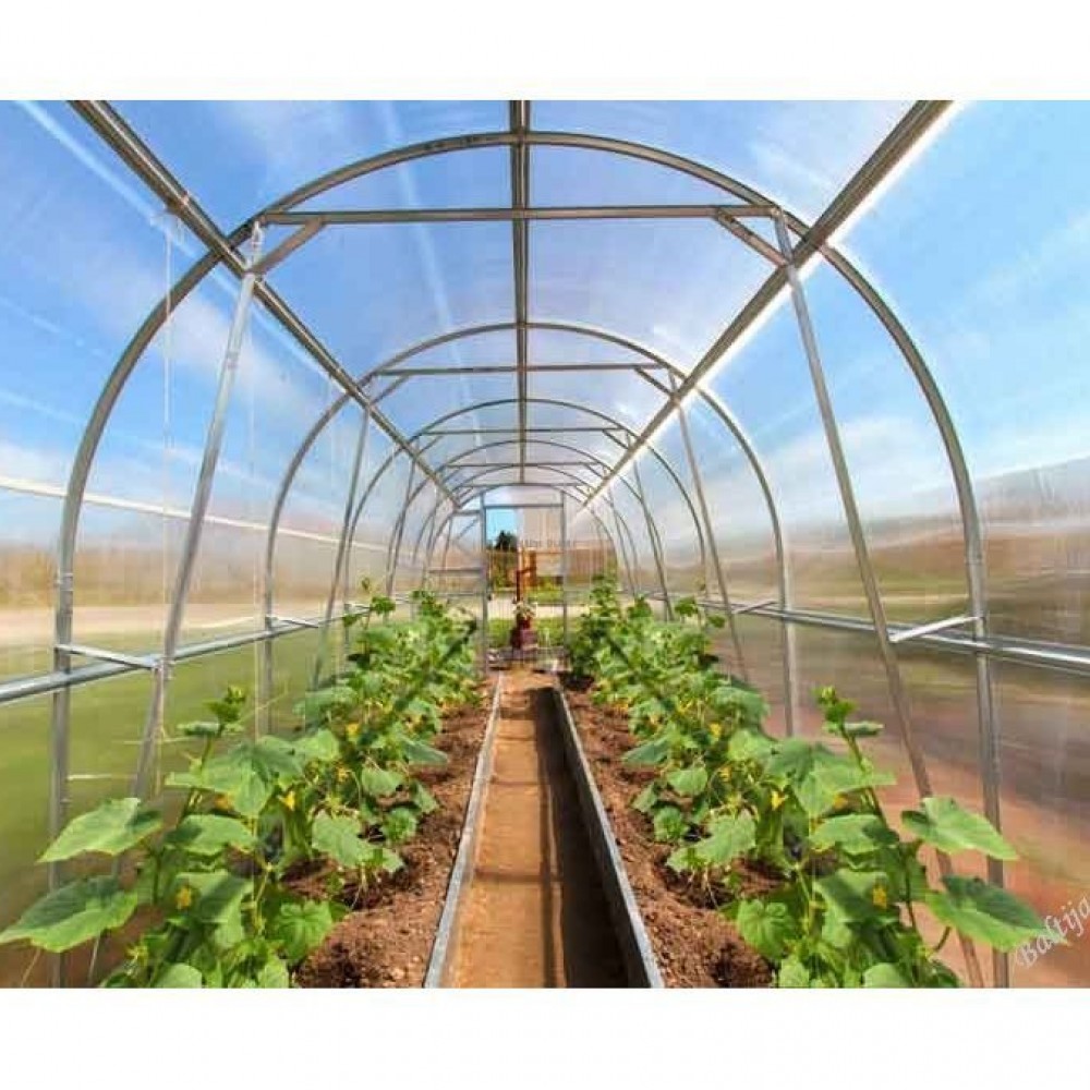 Polycarbonate greenhouse Dachnaya Dvushka